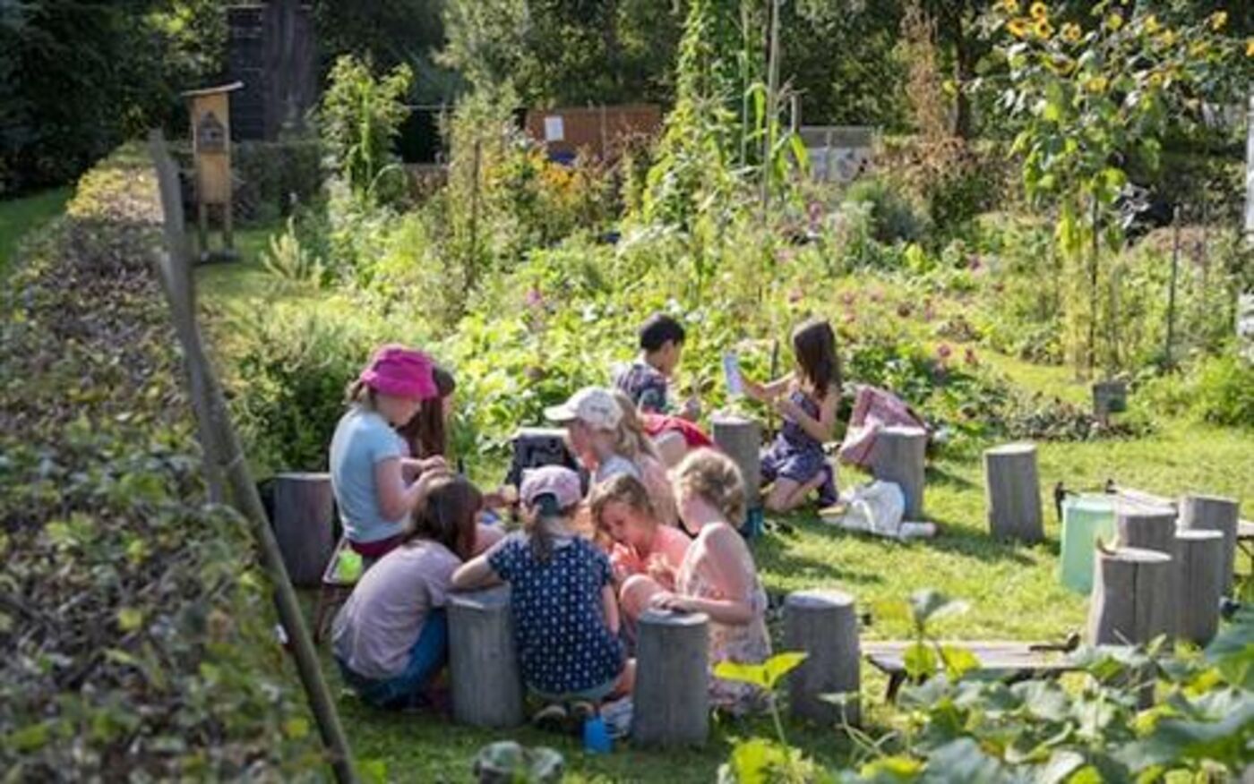 Bioterra Jardins Découvertes