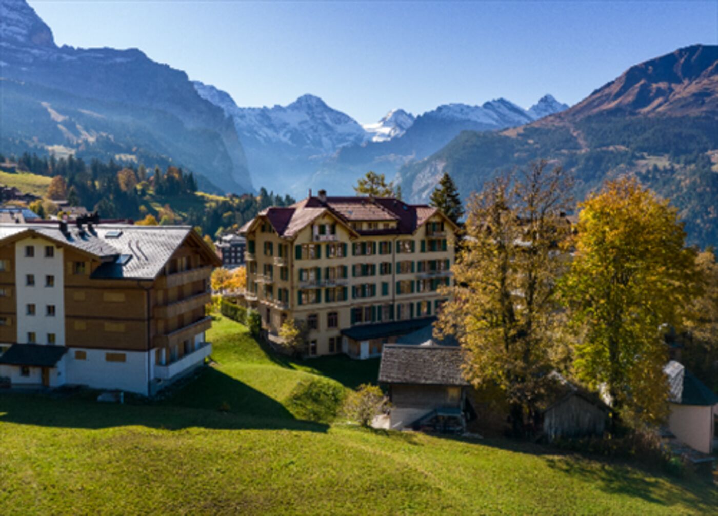 freedreams Hotels