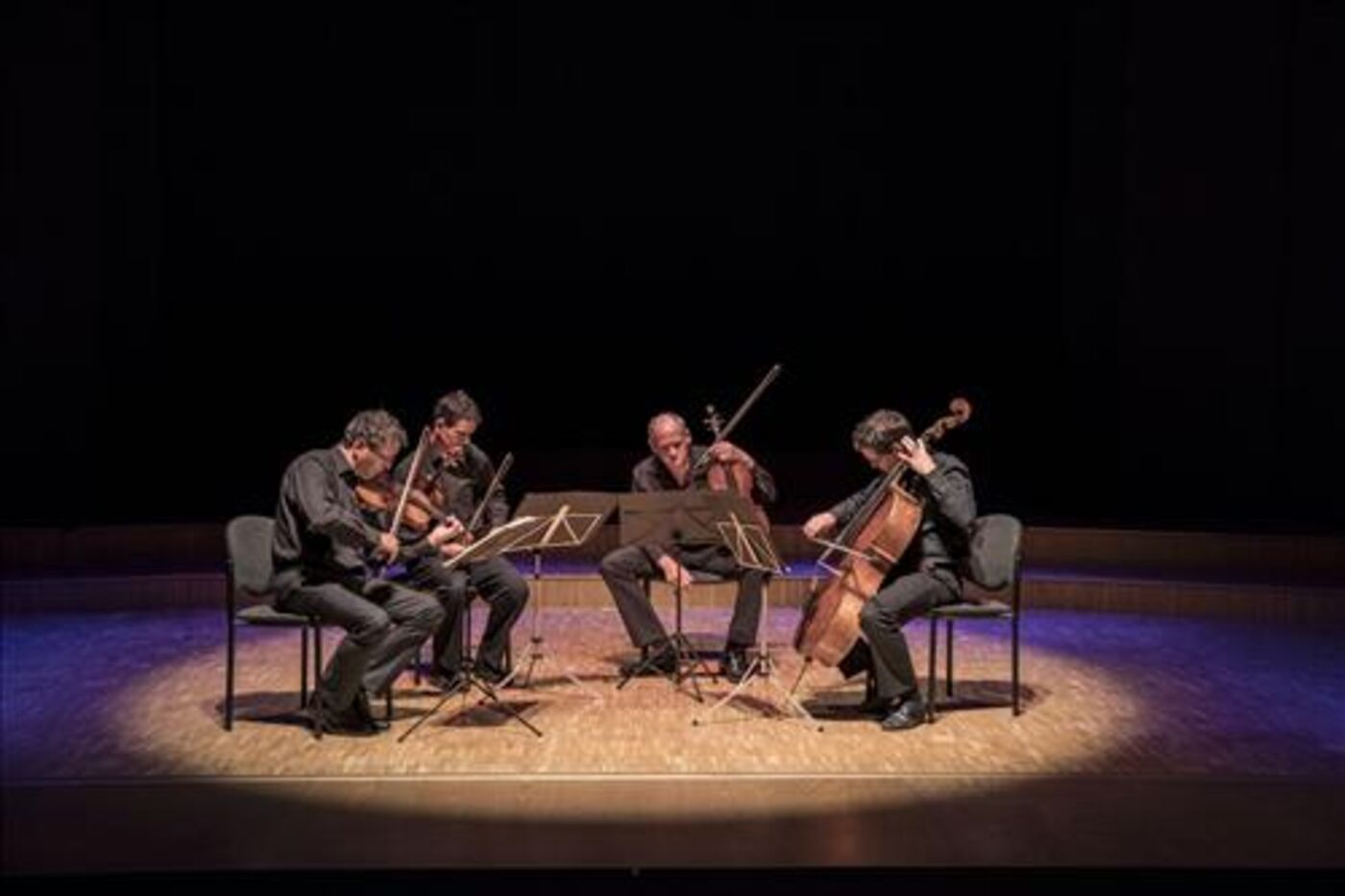Festival Sine Nomine