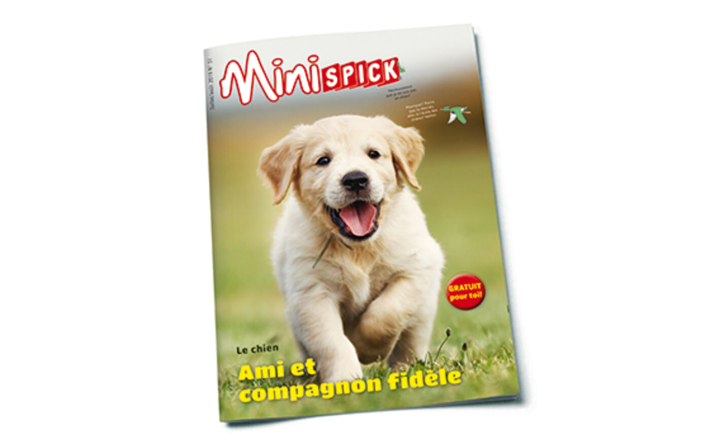 MiniSPICK