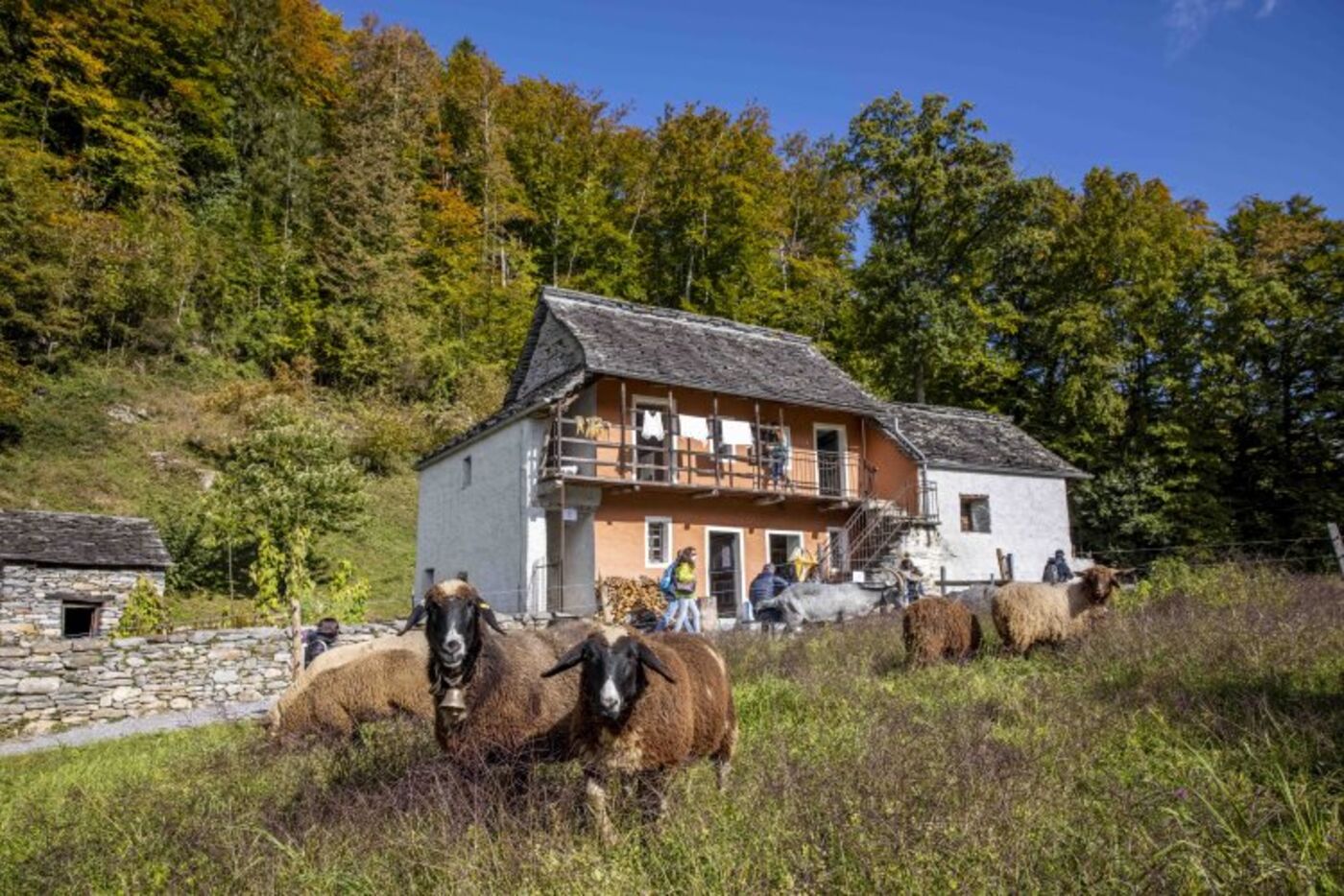 Ballenberg - Freilichtmuseum / Musée en plein air