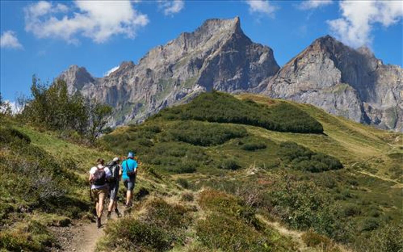Excursions de Pro Natura & Per Pedes