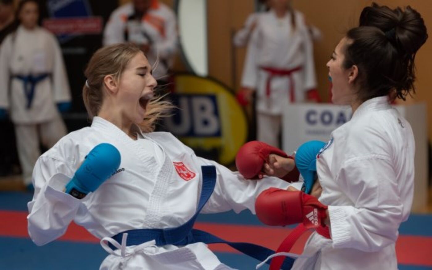 Karatedo Lyss/Aarberg