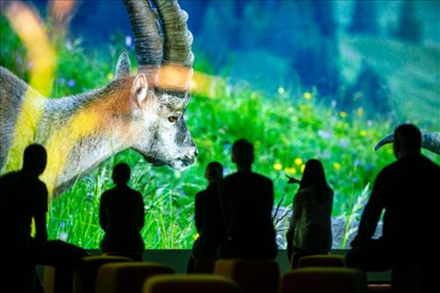 World Nature Forum | Musée des Alpes